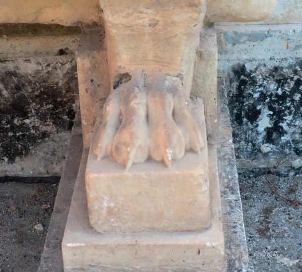 vasca_CT_domit_10